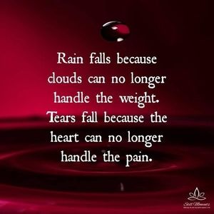 Meet your Posher, Norma